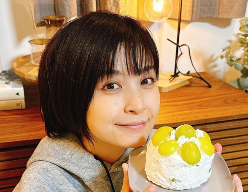 ヨメサック（園田未来子）若い頃も美人でかわいい！顔画像9選！