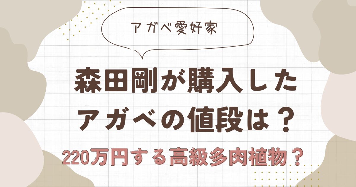 森田剛のアガベの値段は？220万円の多肉植物を即決買い？