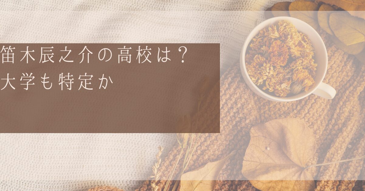 笛木辰之介の高校はどこ？大学などの学歴を特定か